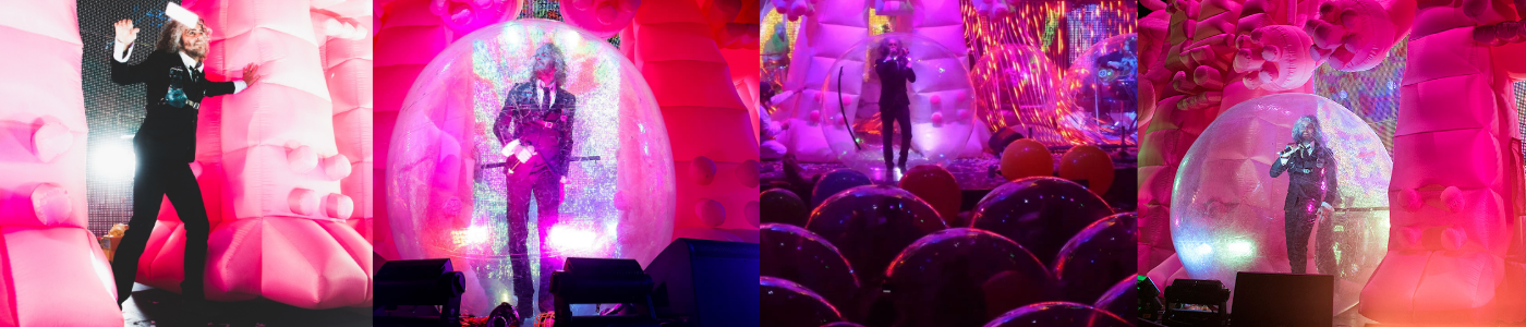 The Flaming Lips The Flaming Lips