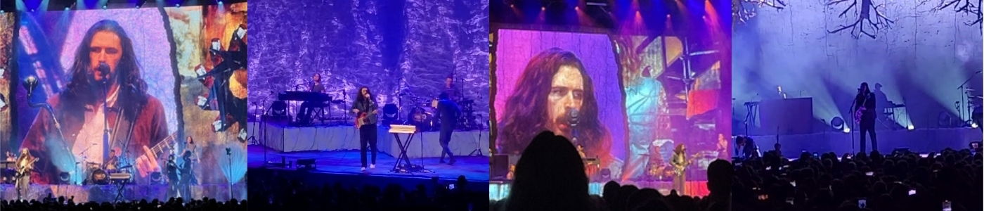 Hozier Tickets Hozier Tickets