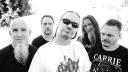 Mr. Bungle 