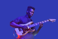 Animals as Leaders