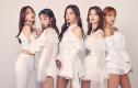 EXID