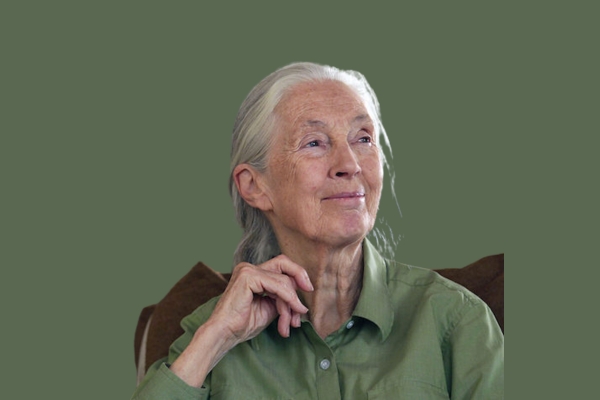 An Evening with Dr Jane Goodall Tickets