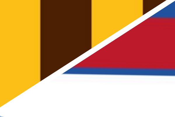AFL - Round 13 - Hawthorn v Western Bulldogs