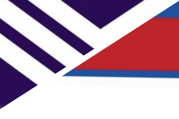 AFL - Round 08 - Western Bulldogs v Fremantle